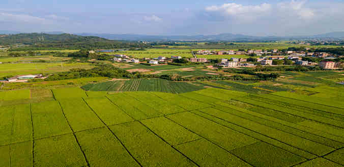 农业农村部：加快农业关键核心技术攻关